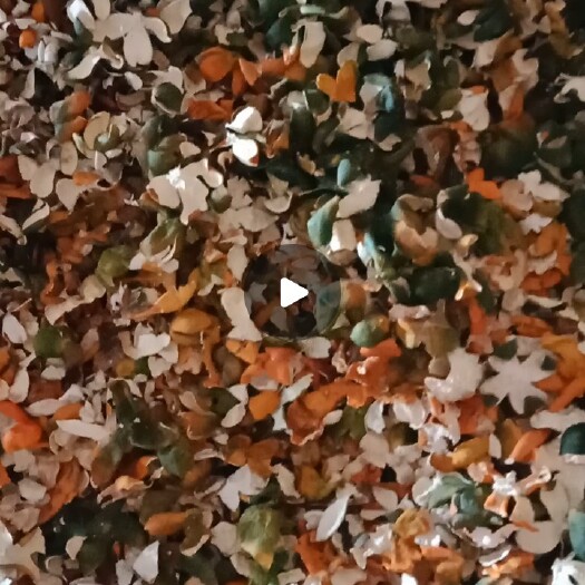 澧县橘子皮陈皮