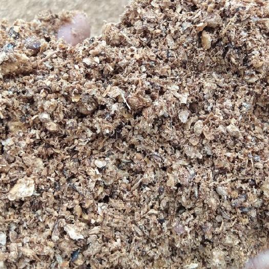 济宁金针菇菌渣  厂家发货
