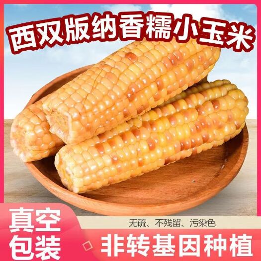 昆明西双版纳真空糯玉米 糯玉米一件代发 真空糯玉米一件代发