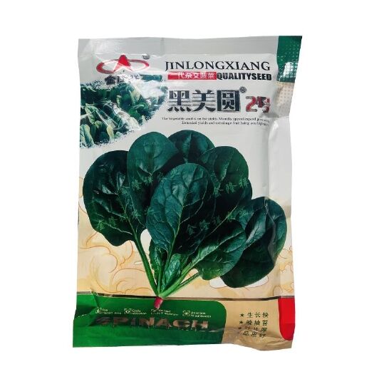 沭阳县黑美圆2号菠菜种子长圆叶菠菜籽叶深绿耐热耐寒红春秋冬速生菠菜