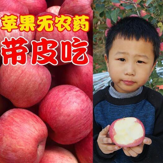 [红富士苹果]山东苹果产地  冷库红富士苹果