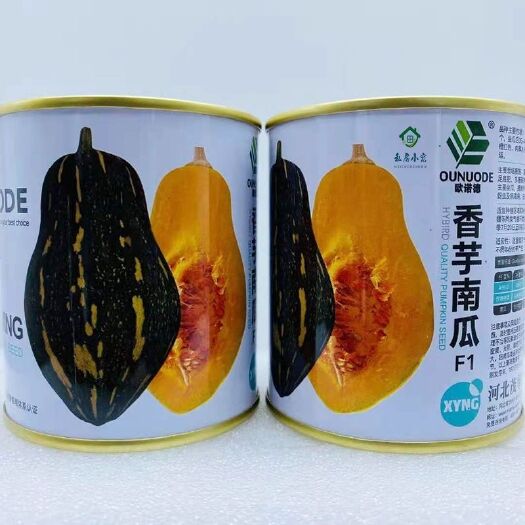 沭阳县茂华香芋南瓜种子橄榄型肉黄色甜粉面糯味香浓中熟产高大田用种孑