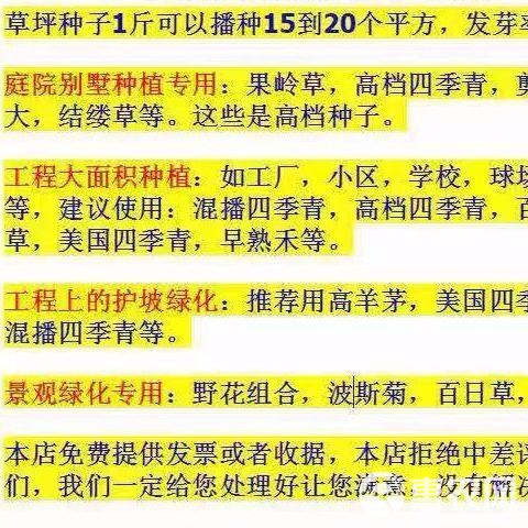 草坪草籽草坪种子四季常青矮生耐旱狗牙根马尼拉护坡草绿化