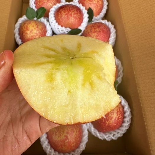 昭通昭通丑苹果（招代理）