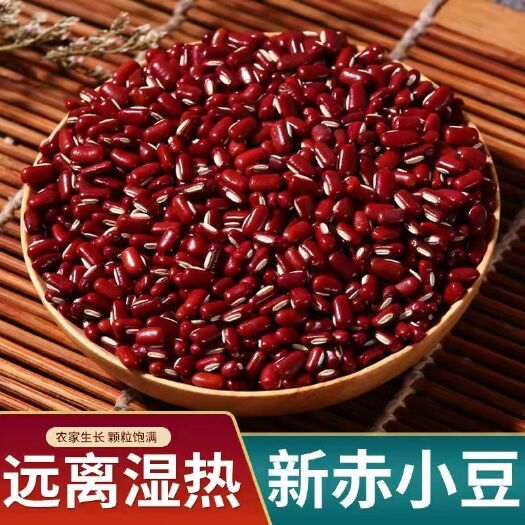 亳州赤小豆