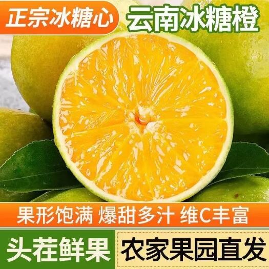 元江县【一件代发】云南青皮冰糖橙现货橙子新鲜橙子榨汁专用新鲜水果甜