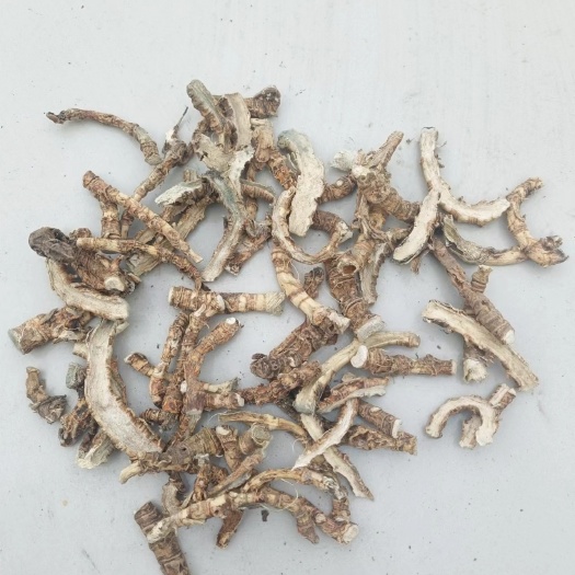 南江县竹节参   竹根七