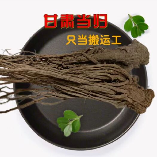 临洮县甘肃岷县产地黄当归头片子个子无硫中药材精选本地批发佛手片调料