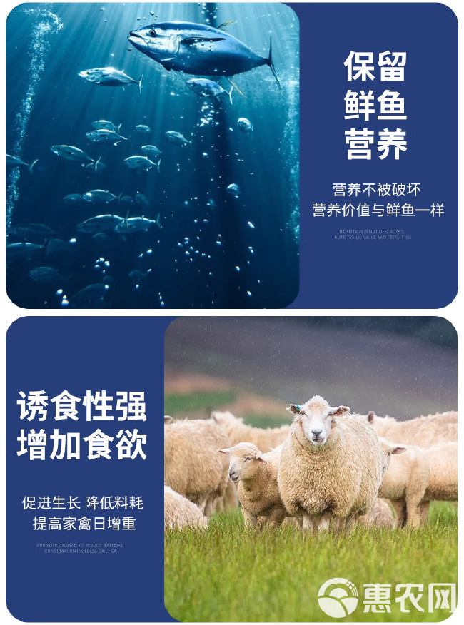 供应秘鲁鱼粉蒸汽饲料级动物性蛋白添加剂鱼虾蟹猪牛鸡鸭