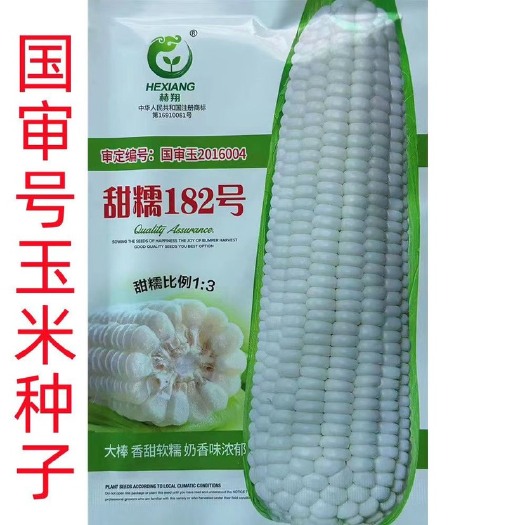 祁东县赫翔甜糯182白甜糯玉米种子大棒香甜软糯甜玉米种子白玉米种籽