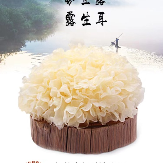 古田县新鲜银耳鲜活银耳一件代发