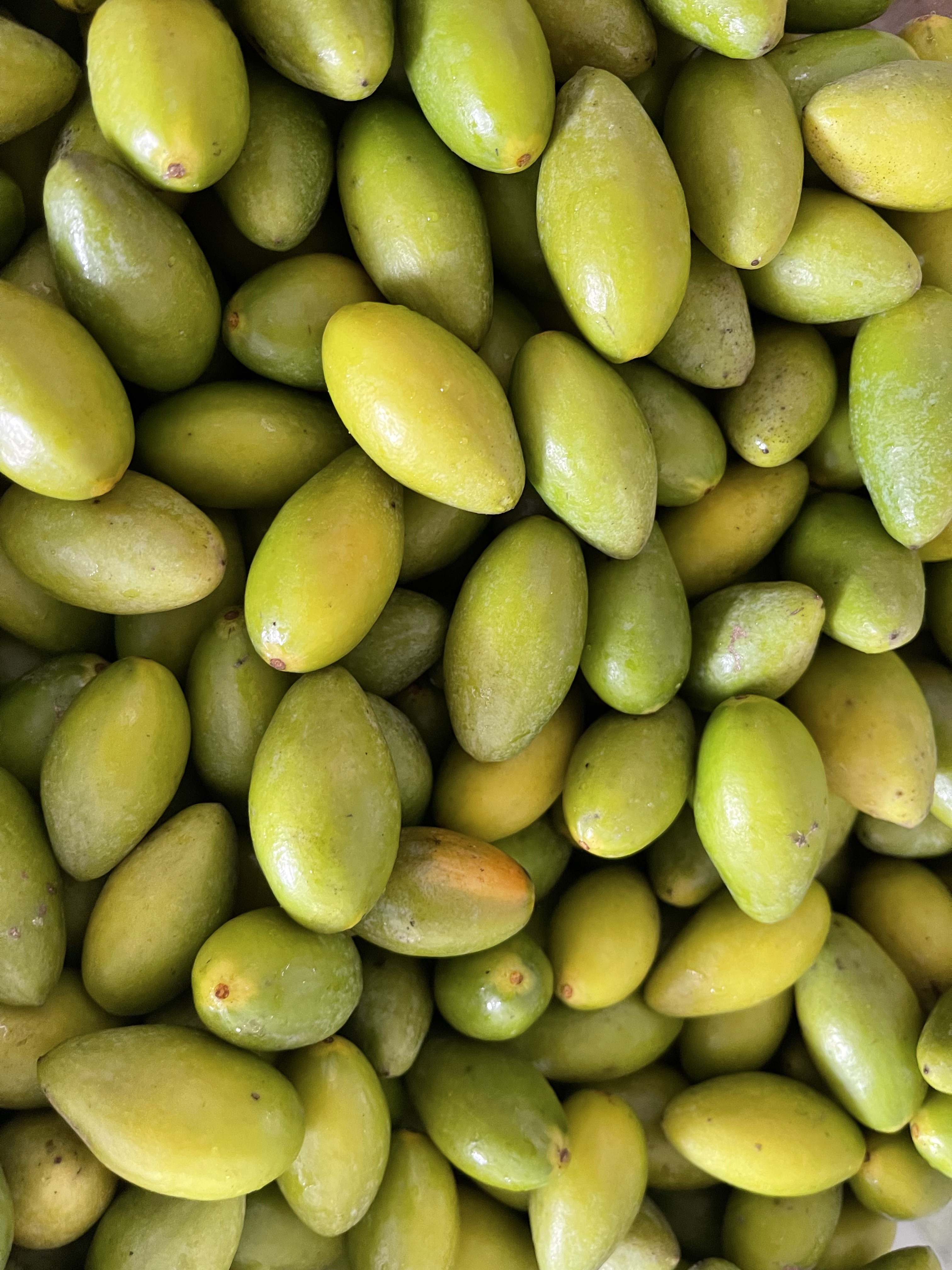 二号橄榄 原味 生吃 煲汤橄榄现摘香橄榄 青橄榄 橄榄果