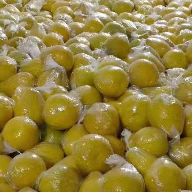 江永老树柚子，皮薄水份足，农户家一手货源看货直接农户对接