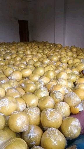 江永老树柚子，皮薄水份足，农户家一手货源看货直接农户对接