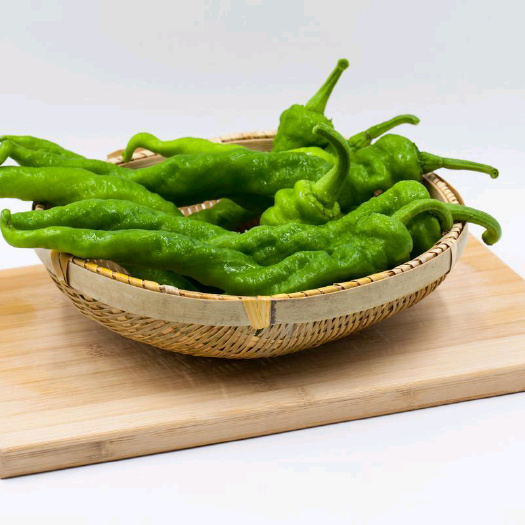 霍邱县辣椒