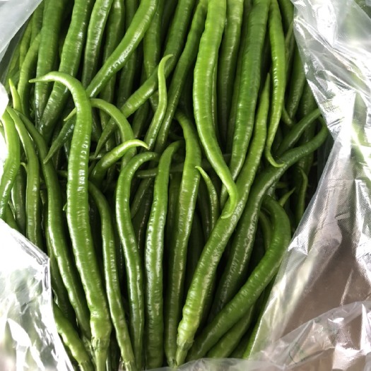 广汉市二荆条 /苏椒 /香柔脆