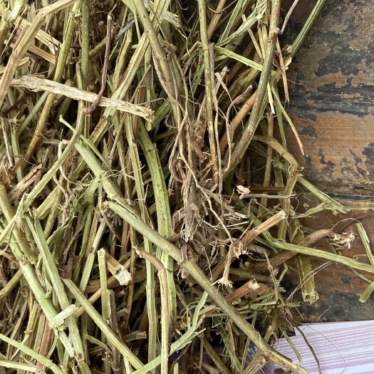 新野县花生秧