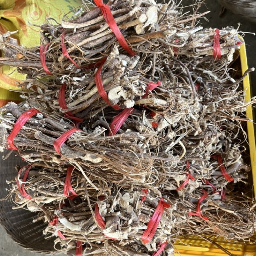 贺州五指毛桃大扎把