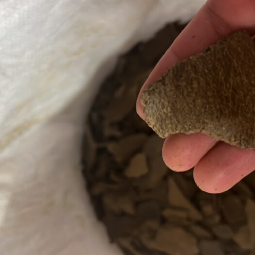 长沙菜枯