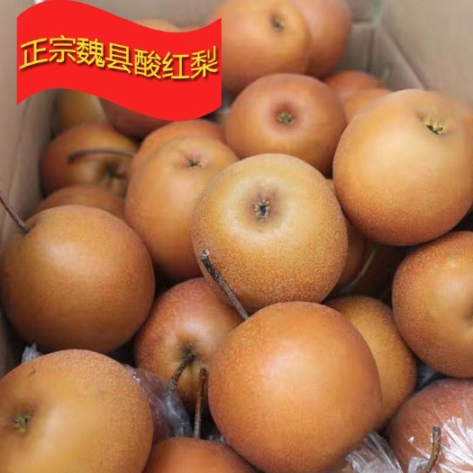 魏县魏县老红梨，冷库膜袋老红梨，红酸梨质量好，价格实惠