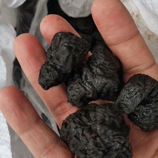 亳州熟地黄丸 熟地整支【假一赔十】