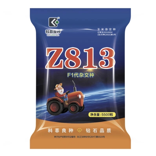 科菲Z813