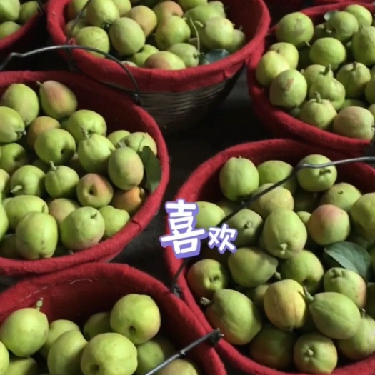 漯河库尔勒香梨