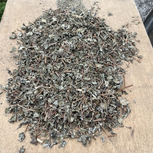 贺州統货藤茶，莓茶