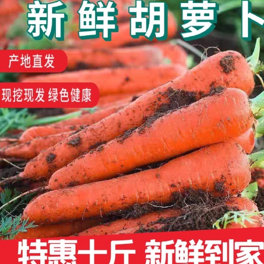 中牟县沙地水果红萝卜红皮红心新鲜脆甜沙窝生吃即食胡萝卜蔬菜带泥