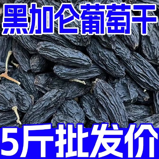 黑加仑葡萄干新疆特产葡萄干黑提子干免洗无籽新货