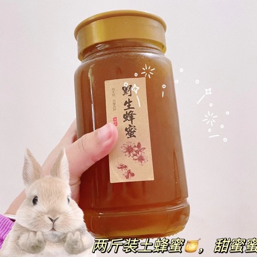 竹溪县神农架野生土蜂蜜/中蜂蜜/百花蜜一年割一次1000g