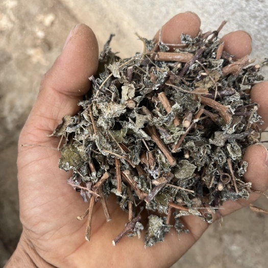 贺州广西莓茶