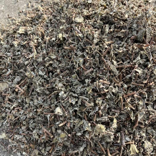 贺州莓茶統货