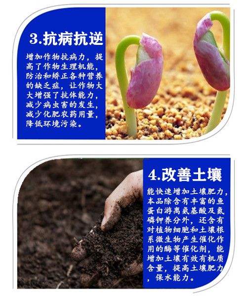 深海鱼蛋白原浆强力生根调理土壤保花靓叶高钙防裂果鱼蛋白原浆