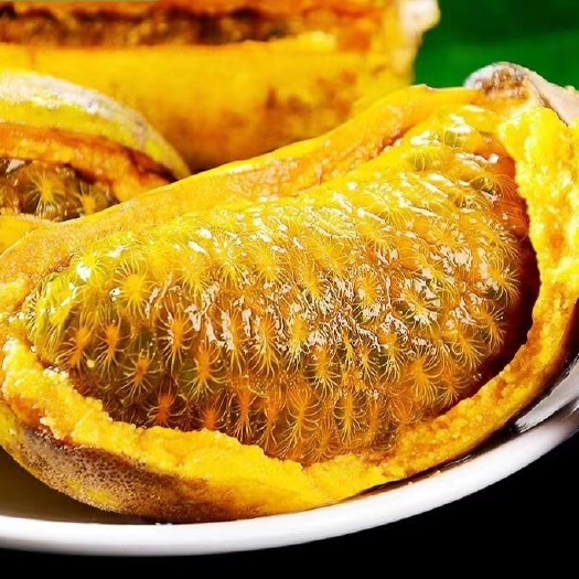 资源县九月黄
