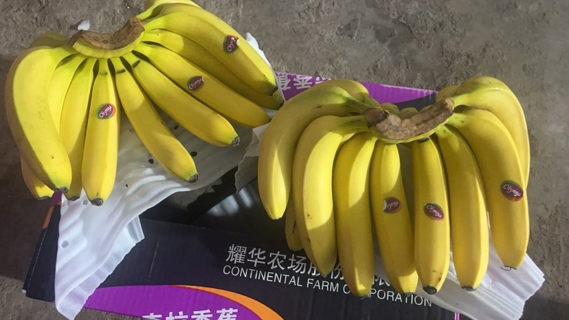 香蕉