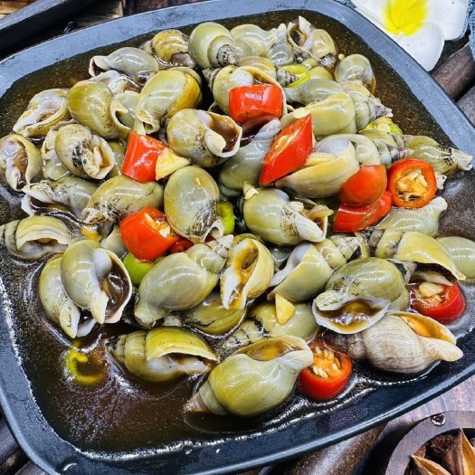 连云港翡翠螺新鲜小海螺海瓜子捞汁食材麻辣小海鲜贝类海鲜水产青螺冷冻