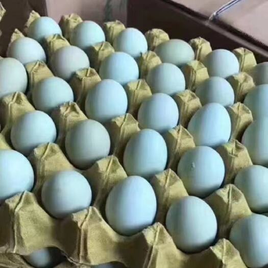 武汉绿壳蛋一斤12个净重30斤360包装别的规格也有