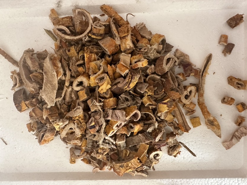 白桑皮双皮桑白皮
