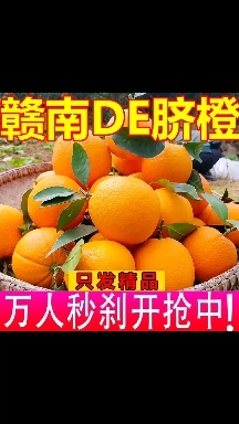 于都县赣南脐橙