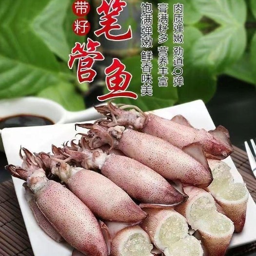 连云港冷冻全籽籽乌500g/袋*15袋10只装冰冻海兔子带籽笔管鱼