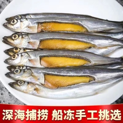 多春鱼满籽新鲜多籽鱼鲜活冷冻宝宝辅食鱼籽海鲜水产烧烤食材包邮