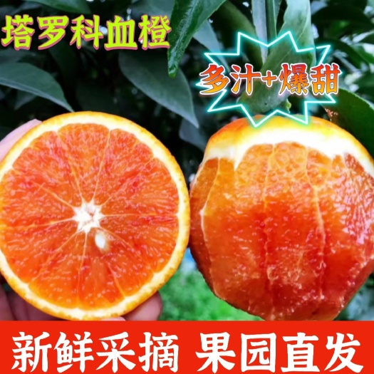 仁寿县塔罗科血橙果园直供，批发团购，一件代发全国发货。