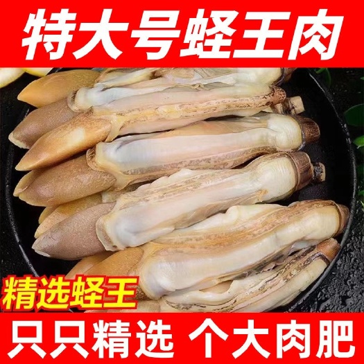 特大蛏王肉新鲜蛏子肉鲜剥冷冻竹蛏肉海鲜水产批发