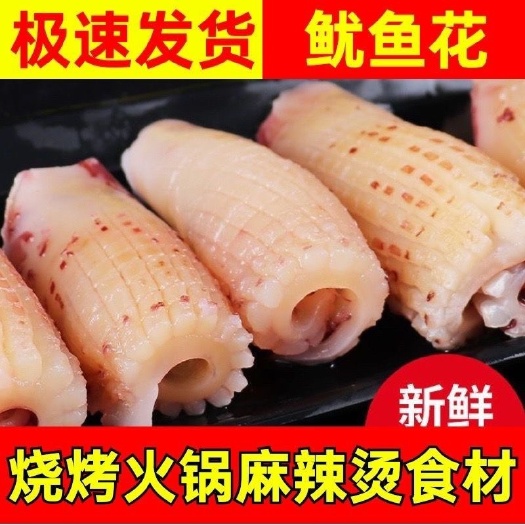 连云港鱿鱼耳花新鲜牛角花无冰海捕鱿鱼火锅干锅麻辣烫食材商用海鲜批发