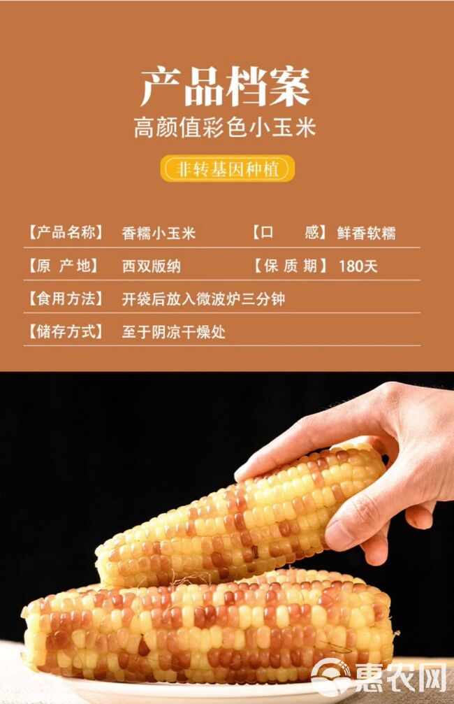 云南西双版纳小花糯玉米低卡减脂期食物