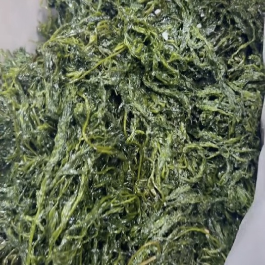 长寿菜，上市了