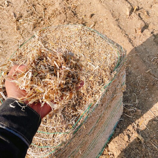 黑山县玉米柔丝秸秆草块