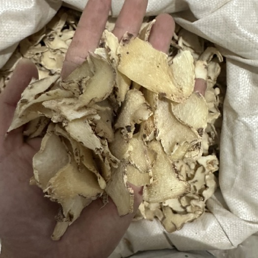 白芨三叉白及
