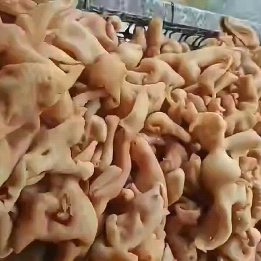 商河县精品羊脸皮